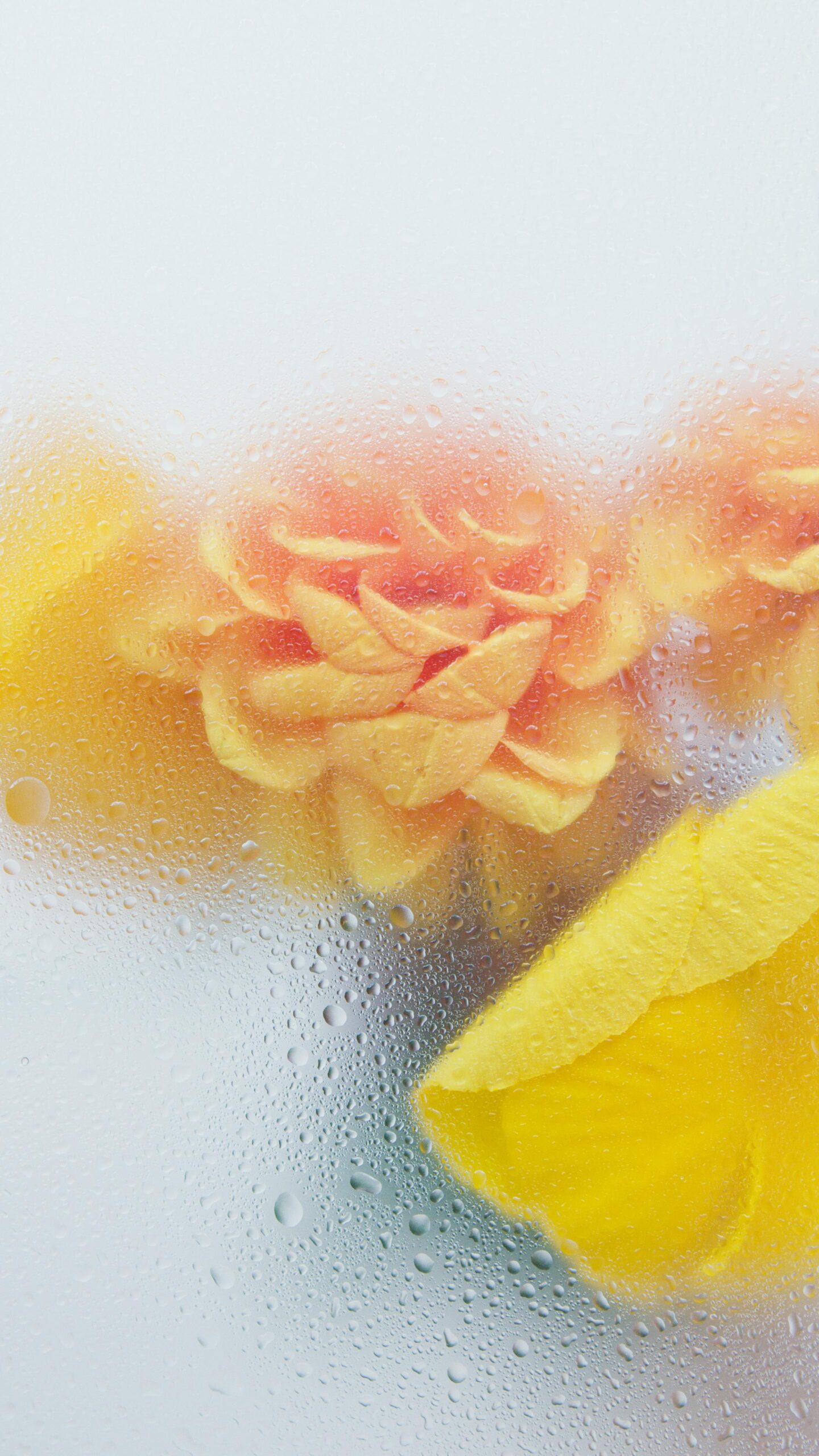 Beautiful yellow and orange flowers seen through dewy glass, creating a dreamy and soft effect.