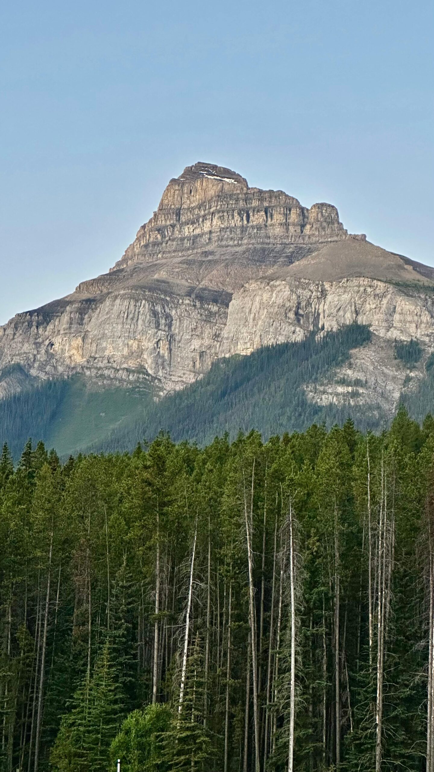 Breathtaking view of a tall mountain with a forest in the foreground under a clear sky.