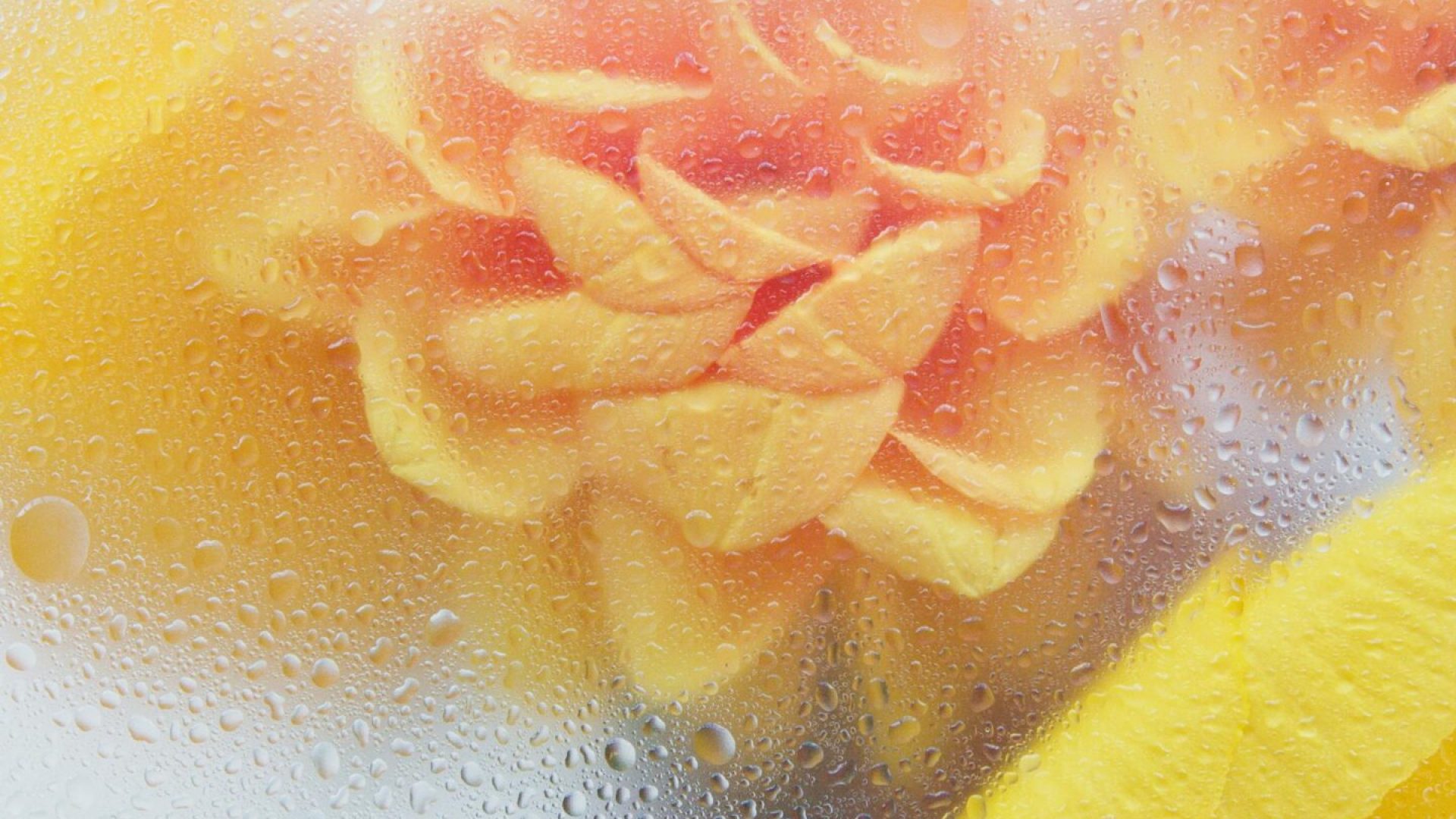 Beautiful yellow and orange flowers seen through dewy glass, creating a dreamy and soft effect.